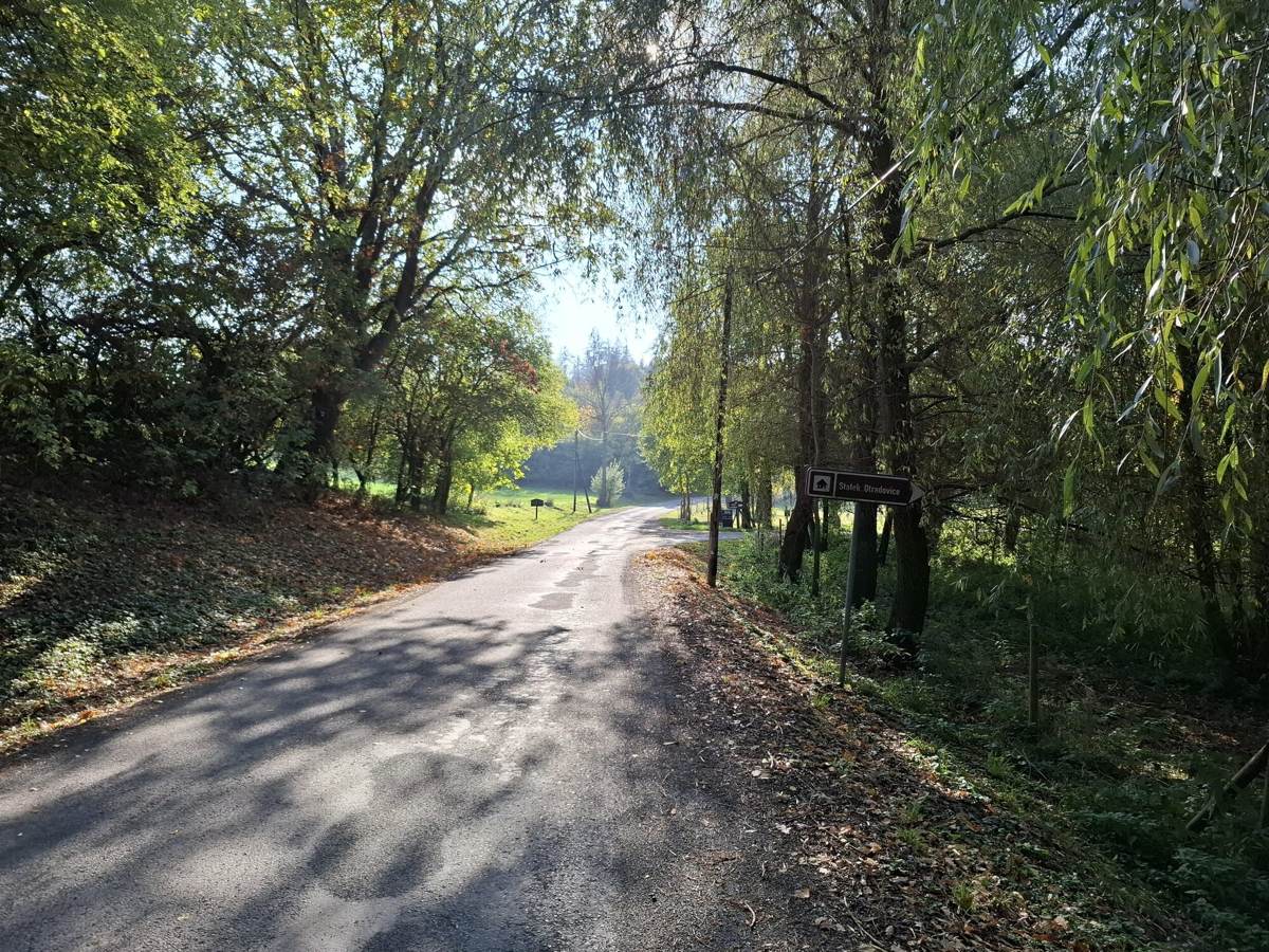 Tree-lined lane with a brown sign to Statek Otradovice