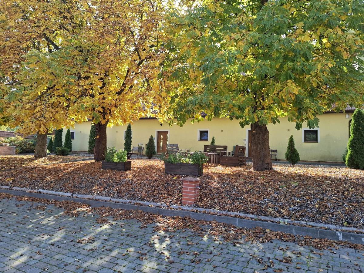 Seating under the chestnut trees in front of the guest rooms